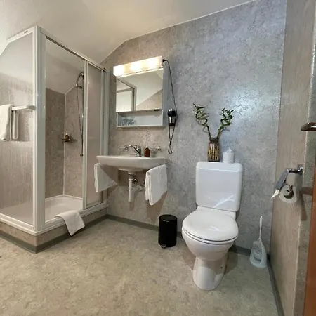 Dinh Hotel Zweisimmen