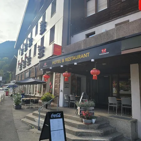 Hotel Dinh