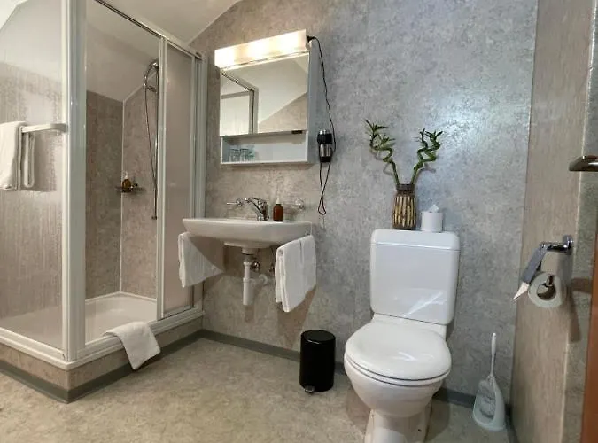 Dinh Hotel Zweisimmen